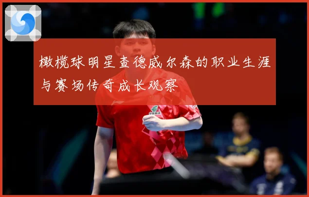 橄榄球明星查德威尔森的职业生涯与赛场传奇成长观察