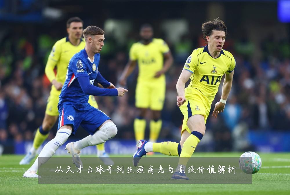 从天才击球手到生涯高光与竞技价值解析